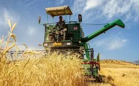 آغاز رسمی خرید تضمینی گندم/ قیمت هر کیلو ۲۰,۵۰۰ تومان