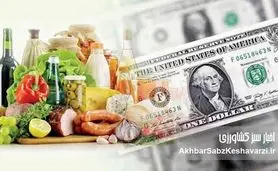 ارز ترجیحی؛ قاتل خاموش تولید و سفره مردم/ چگونه یارانه ارزی به رانت اقتصادی تبدیل شد؟