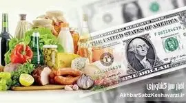 ارز ترجیحی؛ قاتل خاموش تولید و سفره مردم/ چگونه یارانه ارزی به رانت اقتصادی تبدیل شد؟