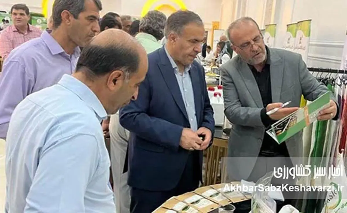 حضور پررونق «کیمیای سبز رفسنجان» در جنوب کرمان؛ معرفی محصولات نوآورانه در همایش جیرفت