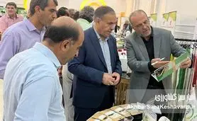 حضور پررونق «کیمیای سبز رفسنجان» در جنوب کرمان؛ معرفی محصولات نوآورانه در همایش جیرفت