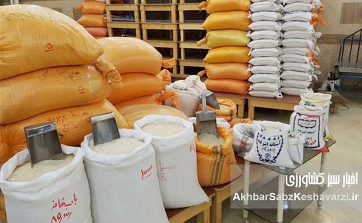 قیمت برنج در بازار ایران اعلام شد؛ نرخ جدید ۱۷۰ هزار تومانی و معمای واسطهها!