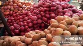 زنگ خطر در سفره‌ها؛ ورود سیب‌زمینی و پیاز به فهرست کالابرگ