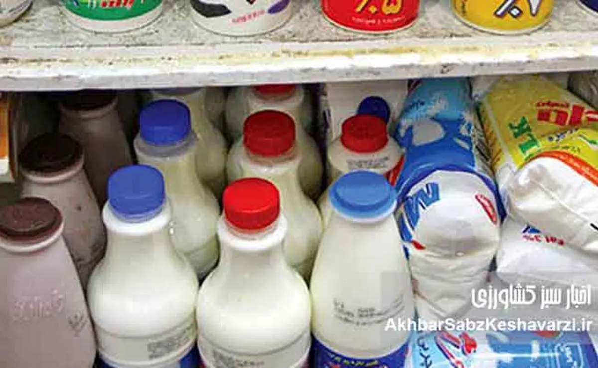 افزایش قیمت لبنیات در آذر؛ شیر خام تا ۵۵ هزار تومان رسید!