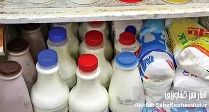 افزایش قیمت لبنیات در آذر؛ شیر خام تا ۵۵ هزار تومان رسید!