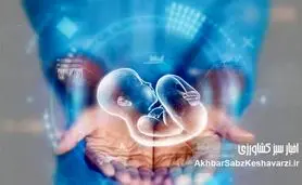 ناپدید شدن جنین‌ها در بیمارستان آبان؛ گزارشی تکان‌دهنده