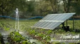 اگروفتوولتائیک در ایران: هم‌افزایی خورشید و کشاورزی برای آینده‌ای پایدار