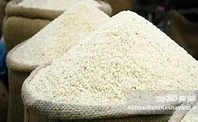 گرانی برنج ایرانی و کمبود آن در بازار: ریشه بحران مدیریت از مزرعه تا فروشگاه چیست؟+ویدئو