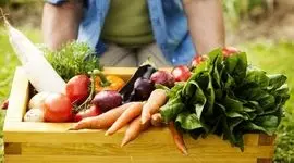 سبزی­‌ها (Vegetable crops=Vegetables)

