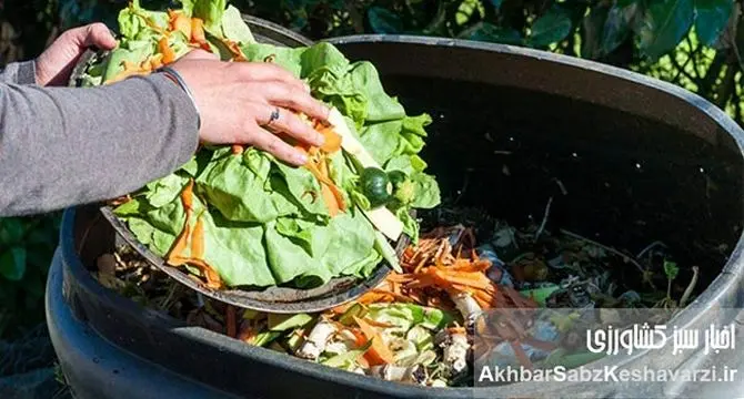 هتل‌های کرم؛ قهرمانان گمنام کمپوست اجتماعی که زباله‌ها را به گنج تبدیل می‌کنند!