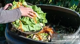 هتل‌های کرم؛ قهرمانان گمنام کمپوست اجتماعی که زباله‌ها را به گنج تبدیل می‌کنند!