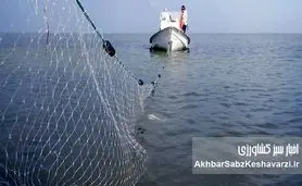 وقتی صیاد جلوتر از سیاست حرکت می‌کند؛ سیاست درست، نتیجه قابل لمس