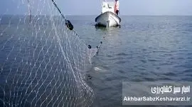 وقتی صیاد جلوتر از سیاست حرکت می‌کند؛ سیاست درست، نتیجه قابل لمس