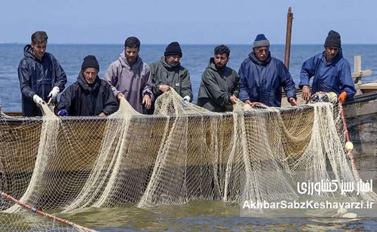 معیشت صیادان در گذار اقتصاد دریاپایه؛ از فشار هزینه‌ها تا فرصت بازآفرینی سواحل