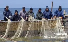 معیشت صیادان در گذار اقتصاد دریاپایه؛ از فشار هزینه‌ها تا فرصت بازآفرینی سواحل