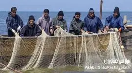 معیشت صیادان در گذار اقتصاد دریاپایه؛ از فشار هزینه‌ها تا فرصت بازآفرینی سواحل