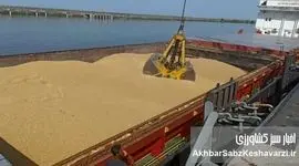 نهاده‌های وارداتی از روسیه دام‌های کشور را آلوده کرد