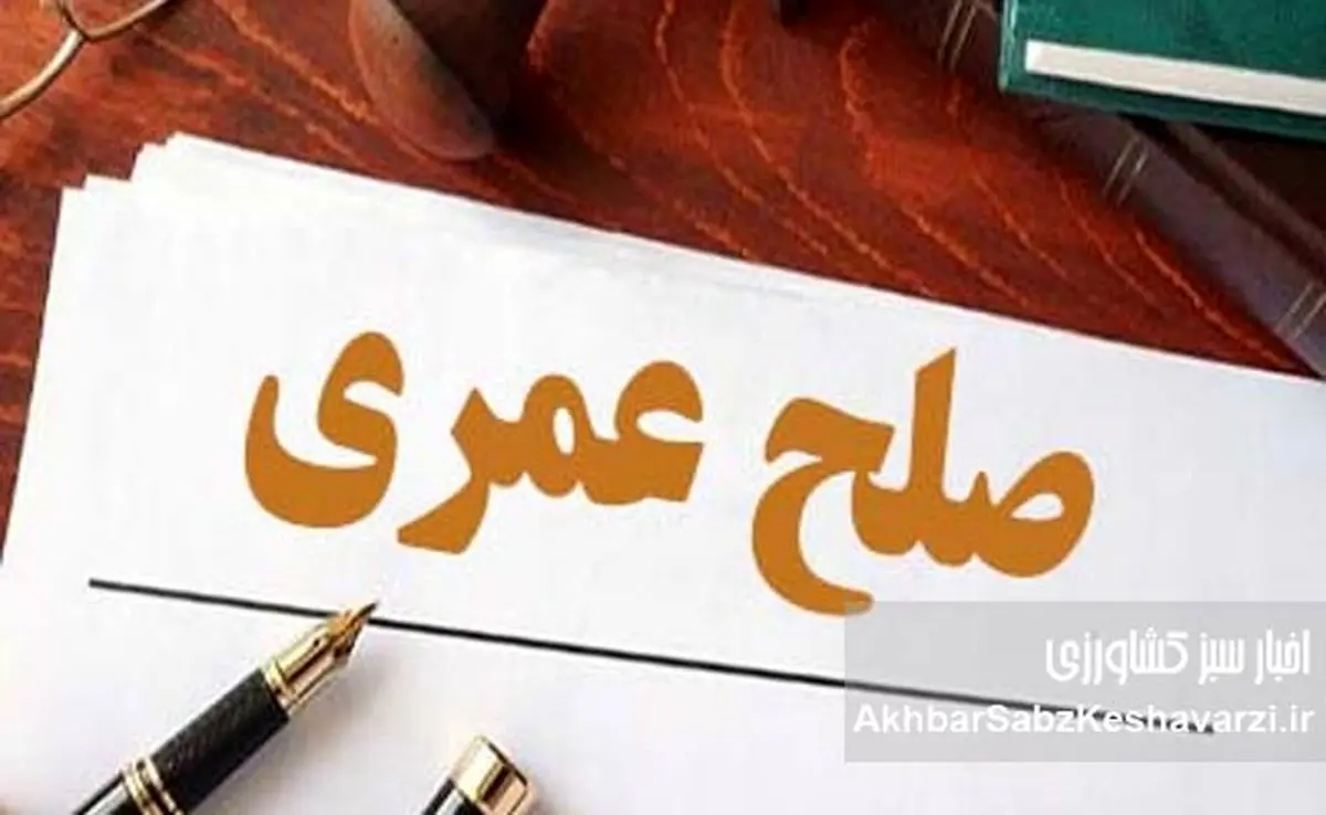 چه کنیم مرگ ما شروع دردسر فرزندان نباشد