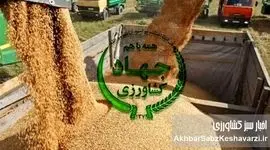 بحران نهاده‌های دامی؛ زنگ خطری دیگر برای امنیت غذایی ایران