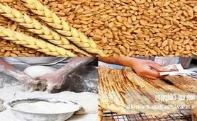 یارانه صدها هزار میلیارد تومانی نان هم چنان در جیب دلالان