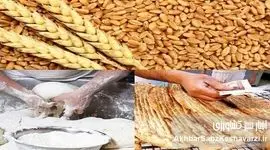 یارانه صدها هزار میلیارد تومانی نان هم چنان در جیب دلالان