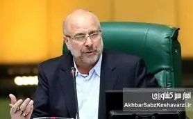 قالیباف: ارز ترجیحی می‌دهیم، اما خروجی آن در بازار دیده نمی‌شود+ویدئو