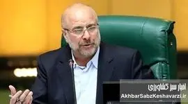 قالیباف: ارز ترجیحی می‌دهیم، اما خروجی آن در بازار دیده نمی‌شود+ویدئو