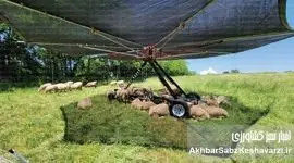 مراقبت از دام‌ها در مقابل استرس گرمایی