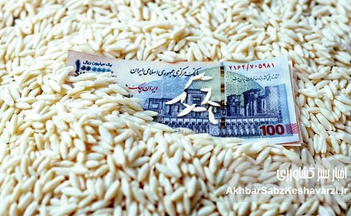 قیمت برنج: وعده کاهش عملی نشد؛ سفرهها همچنان خالی!