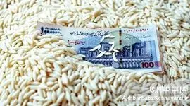 قیمت برنج: وعده کاهش عملی نشد؛ سفره‌ها همچنان خالی!