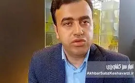 راز نوآوری در قلب صنعت شیشه: راهکار شیشه اردکان برای کشاورزی آینده+ویدئو
