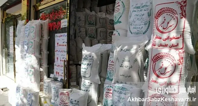 کاهش چشمگیر قیمت برنج ایرانی؛ وزیر جهاد کشاورزی چه می‌گوید؟ 
