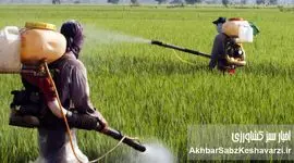 حذف سموم پرخطر؛ گام جدی برای سلامت غذا و محیط‌زیست