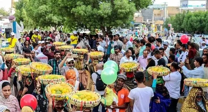 جشن شکرگزاری برای میوه محبوب گرمسیری در ایران+ ویدئو
