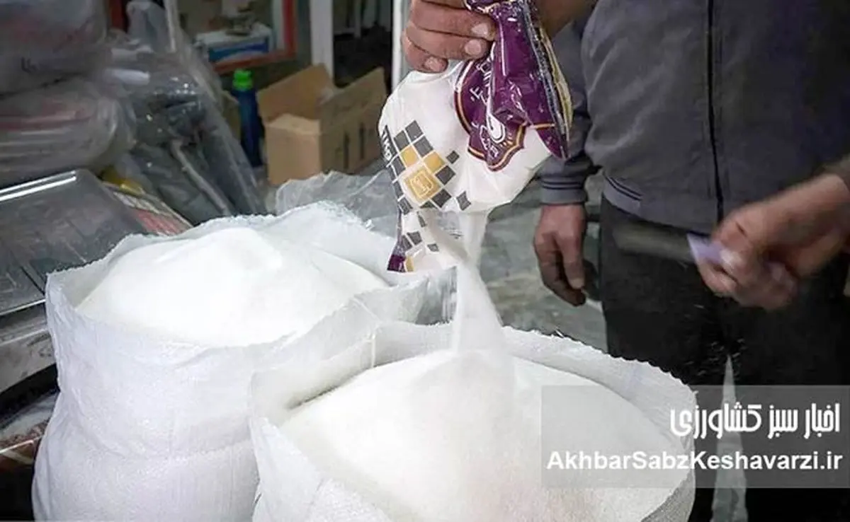 هزینه بلاتکلیفی در بازار شکر؛ وقتی سیاست‌ها قیمت می‌سازند