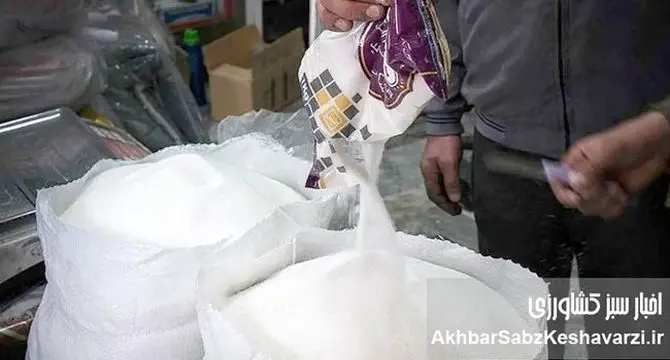 هزینه بلاتکلیفی در بازار شکر؛ وقتی سیاست‌ها قیمت می‌سازند
