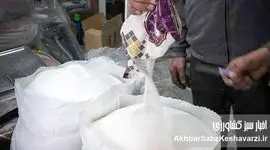 هزینه بلاتکلیفی در بازار شکر؛ وقتی سیاست‌ها قیمت می‌سازند