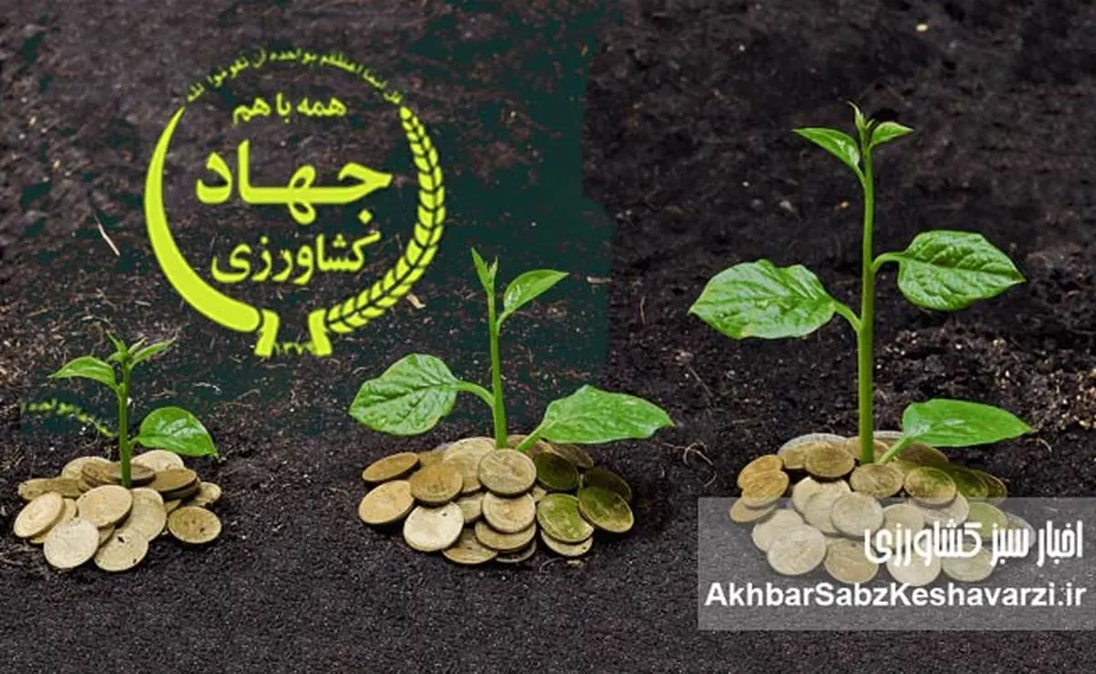 فاجعه در بخش کشاورزی ایران؛ رشد منفی 3.5درصدی در خرداد