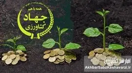 فاجعه در بخش کشاورزی ایران؛ رشد منفی 3.5درصدی در خرداد