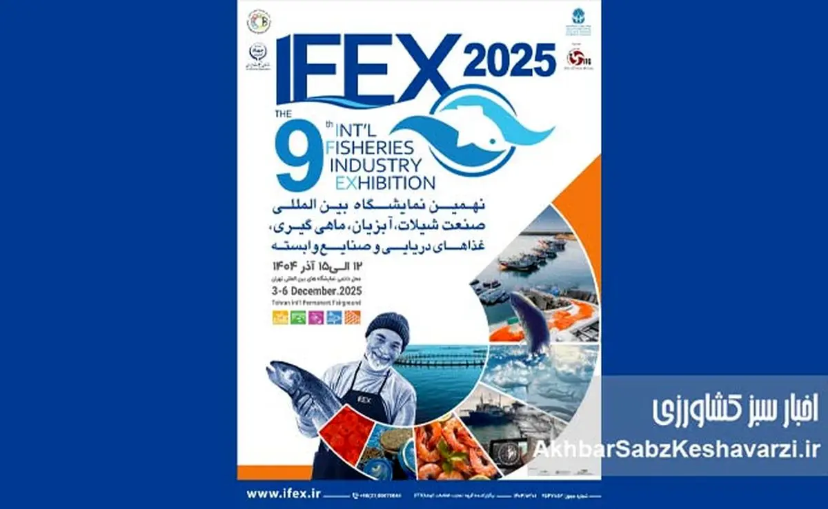 آغاز IFEX 1404؛ نهمین نمایشگاه بین‌المللی شیلات تهران هفته آینده