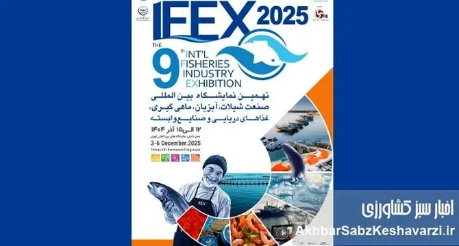 آغاز IFEX 1404؛ نهمین نمایشگاه بین‌المللی شیلات تهران هفته آینده