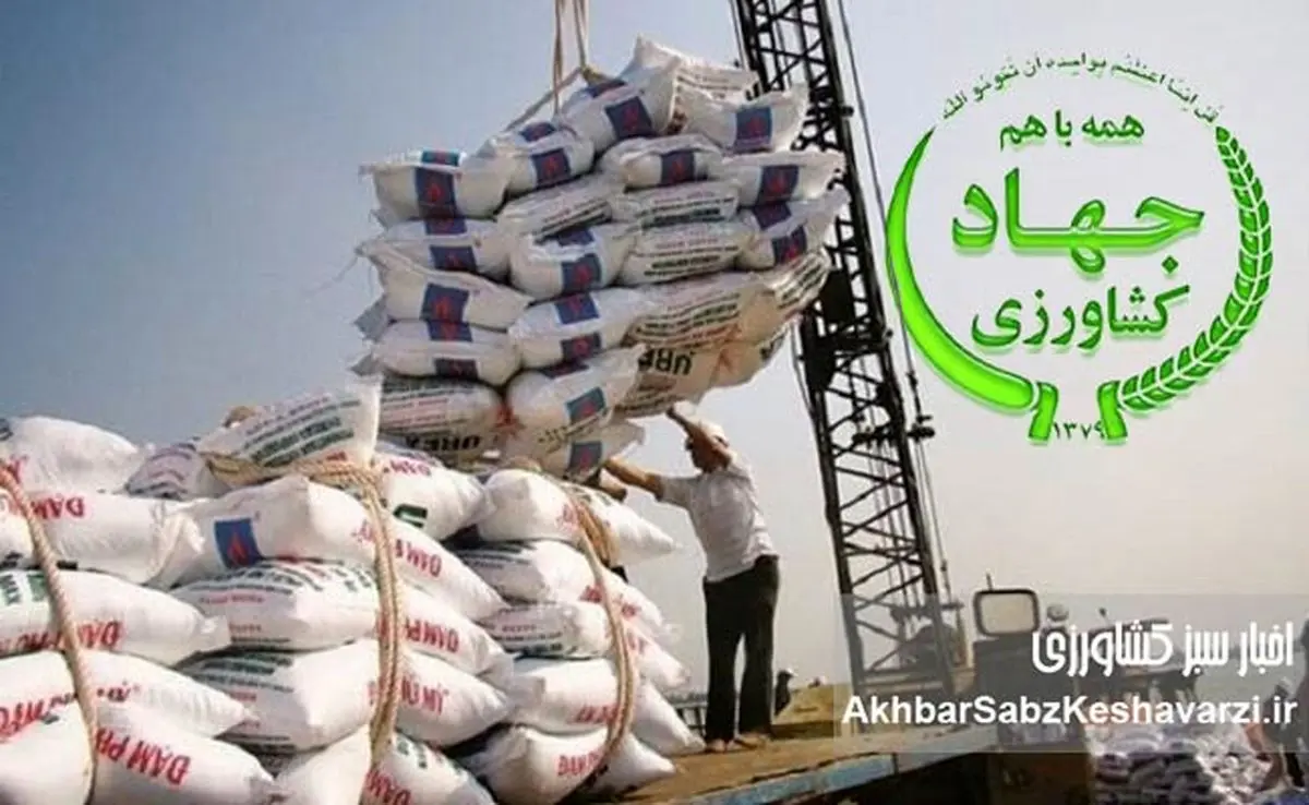 برنج وارداتی؛ فاکتورسازی برای خروج بیبازگشت ارز دولتی از کجا کلید خورد؟