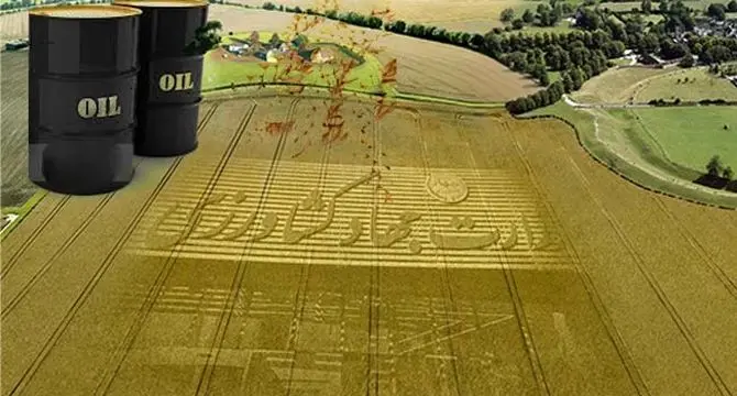 به استقبال نفت در برابر غذا