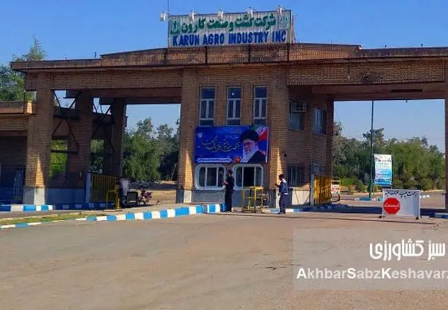 تحول در غول نیشکری ایران؛ محمود شمیلی سکان کشت و صنعت کارون را به دست گرفت