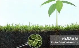 میکروارگانیسم‌ها عامل تثبیت کربن خاک