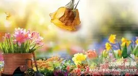 مدیریت عوامل بیماری‌زا در گل‌های شاخه بریده