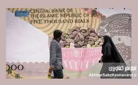 ۲.۵ میلیارد دلار دیگر؛ ارز ترجیحی چگونه دود شد؟