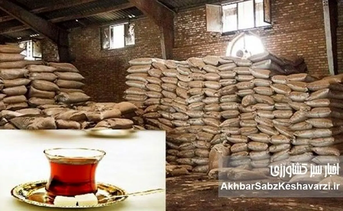 کشف ۱۲۱ تن چای قاچاق در جنوب تهران و جریمه تاریخی ۷۳ میلیارد تومانی!