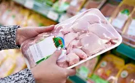 داستان داغ بازار مرغ: سقف قیمت فروش اعلام شد!