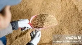 بازار سویا در آستانه تحول؛ از انحصار واردات تا ضرورت تأمین ۲.۴ میلیون تن دانه و کنجاله